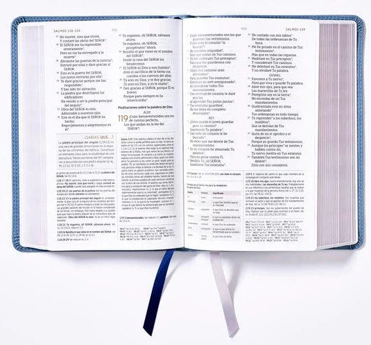 NBLA Biblia de Estudio (NBLA Study Bible)