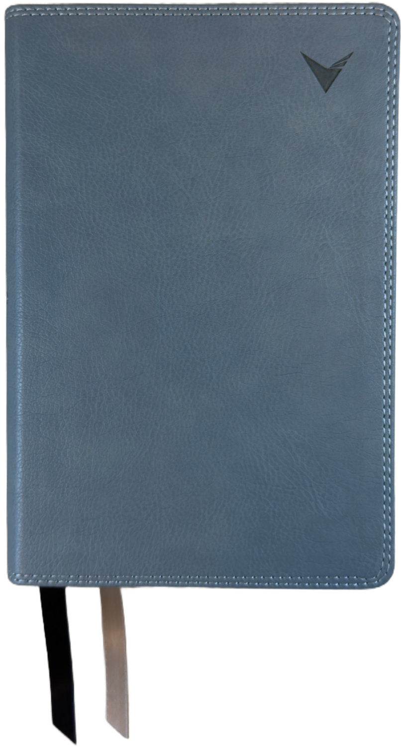 NBLA Study Bible, gray leathertex cover with ribbon markers