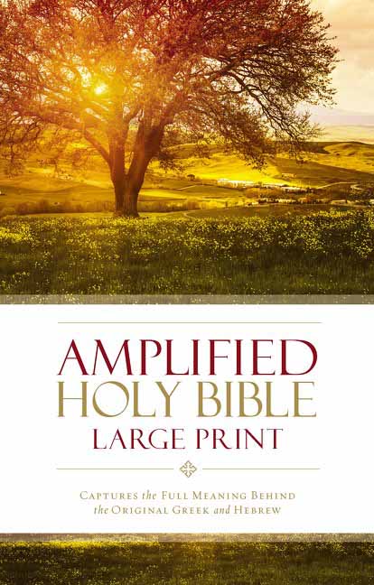 Amplified Large Print Holy Bible