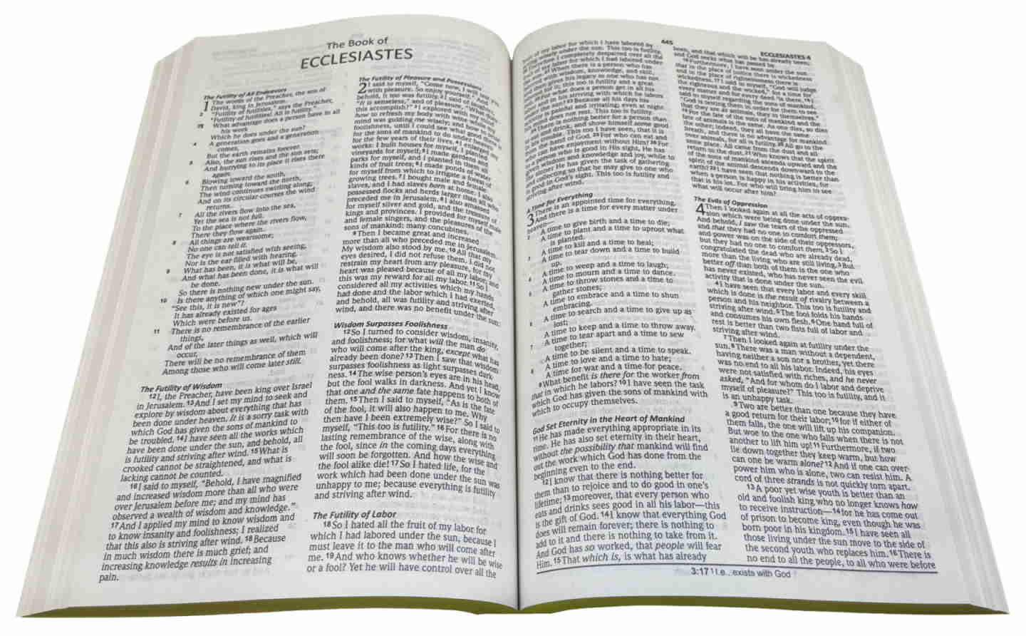 NASB Outreach Bible (Full Case of 24)