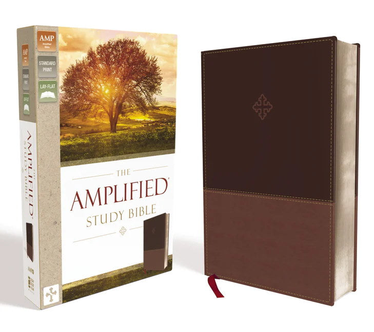 Amplified Study Bible