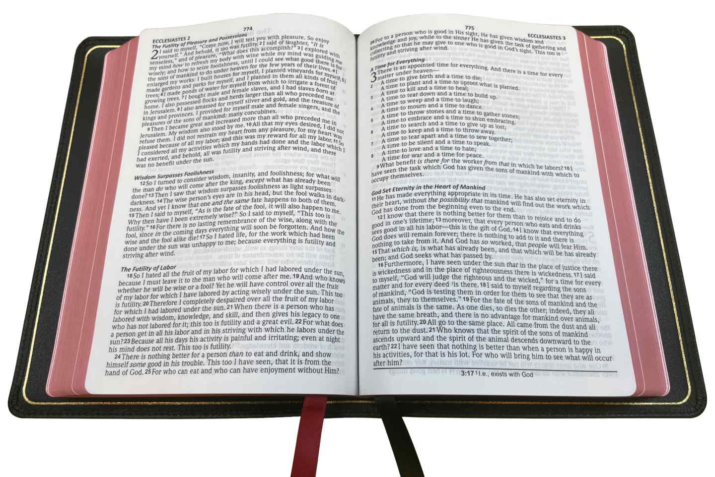 NASB 2020 Prime Large Print Compact Bible